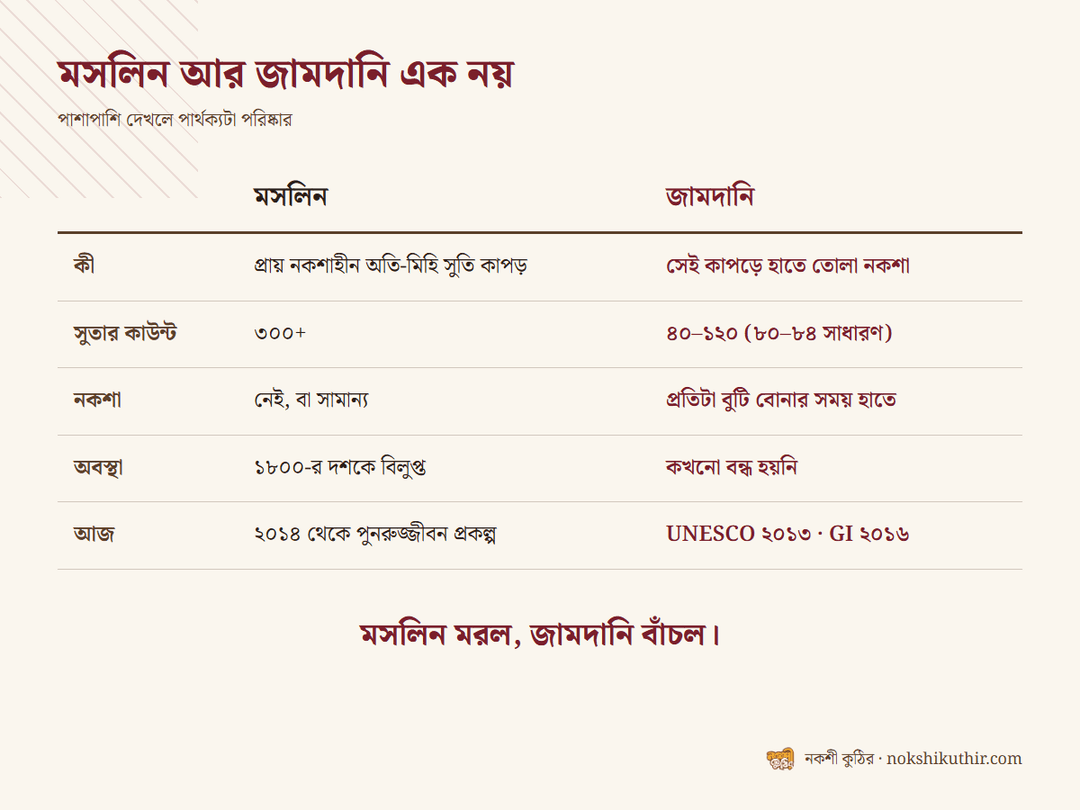 মসলিন আর জামদানির পার্থক্য এক নজরে: কাউন্ট, নকশা, অবস্থা